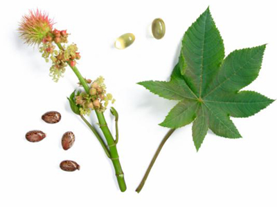 масла для укрепления ногтей масла для укрепления ногтей