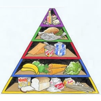 протеиновая диета исследования протеиновая диета исследования