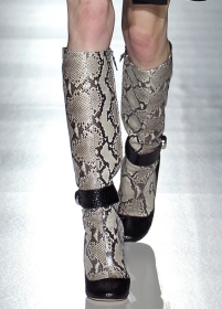 сапоги 2011 сапоги 2011