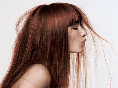 волосы цвета шоколадный микс волосы цвета шоколадный микс