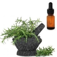 масло розмарина для волос масло розмарина для волос