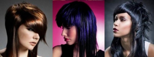 прически Нового года 2012 прически Нового года 2012