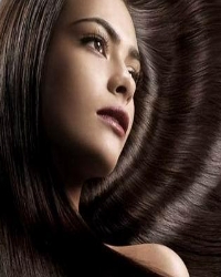 популярные средства для ламинирования волос популярные средства для ламинирования волос