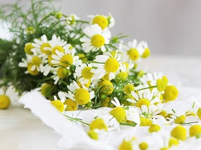 лечение изжоги ромашкой лечение изжоги ромашкой