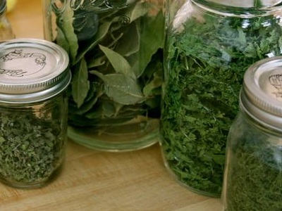 лечение изжоги травами лечение изжоги травами