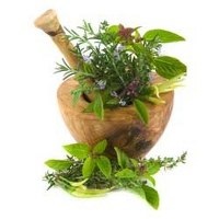 молочница народные средства для укрепления иммунитета молочница народные средства для укрепления иммунитета