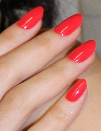 форма ногтей 2012 Wes Gordon форма ногтей 2012 Wes Gordon